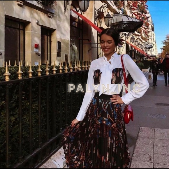 ❤️NWT ZARA CHAIN PRINT ASYMMETRIC PLEATED SKIRT - Picture 4 of 8